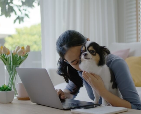 Pets And Leases: Navigating 'No Pet' Clauses and Emotional Support Animals